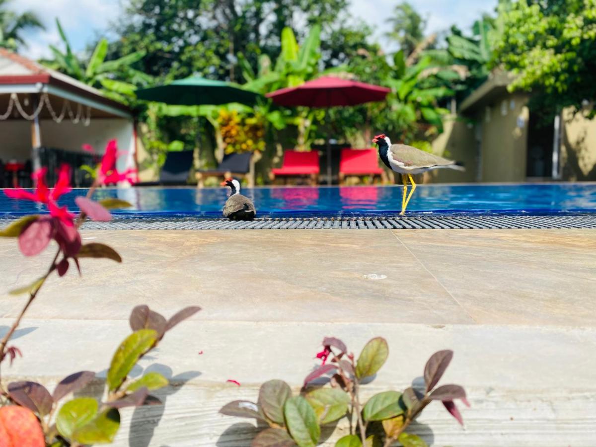 The Kingslayer Resort Negombo Luaran gambar