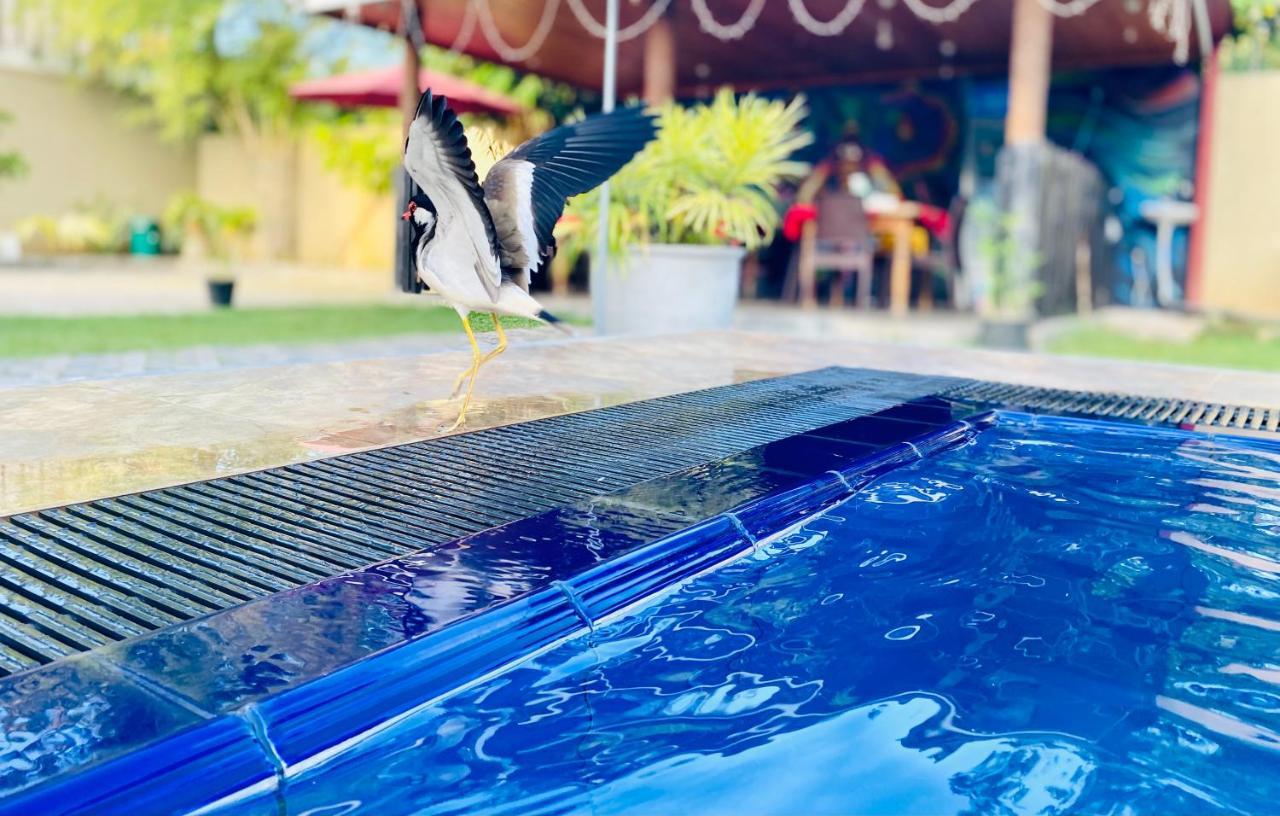 The Kingslayer Resort Negombo Luaran gambar
